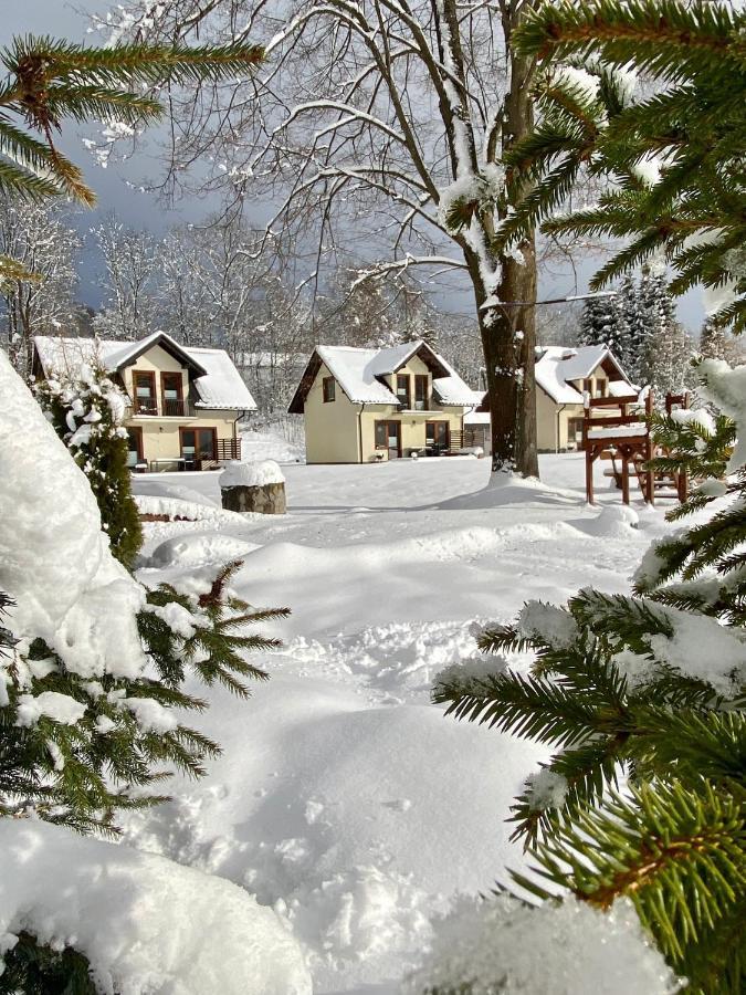 Villa Domki Pod Jarmuta à Szczawnica Extérieur photo